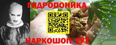 PSILOCYBIN Лесосибирск