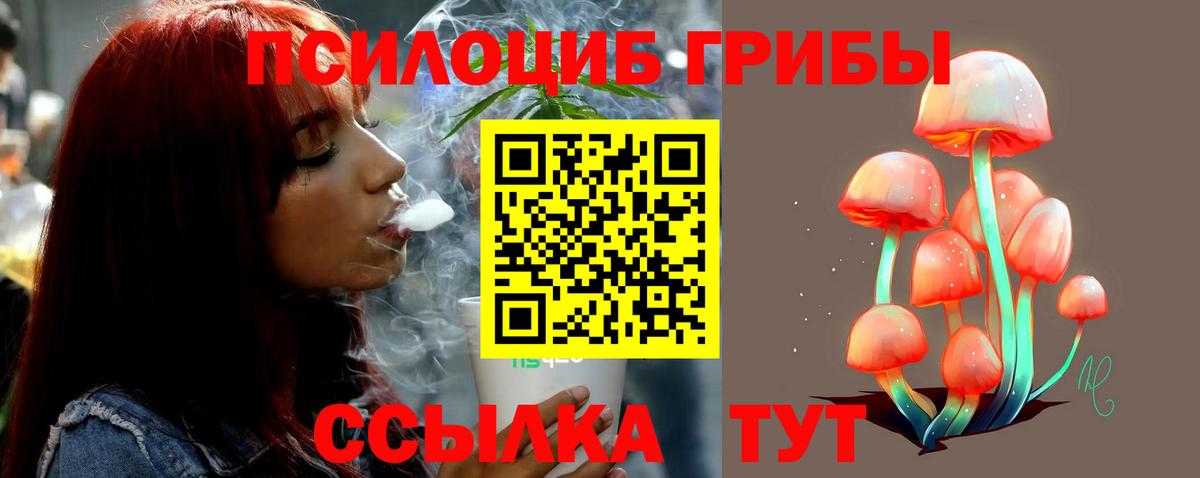 Галлюциногенные грибы мицелий  Вход с VPN  Псилоцибиновые грибы MAGIC MUSHROOMS  Тавда 